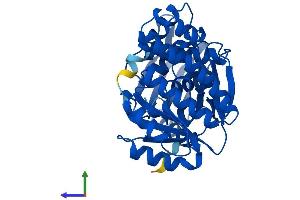 AlphaFold protein structure predicition of Mouse Recombinant Galk1 Protein, UniprotID Q9R0N0