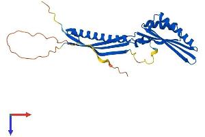 AlphaFold protein structure predicition of Human Recombinant IRAK1BP1 Protein, UniprotID Q5VVH5