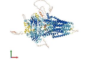 AlphaFold protein structure predicition of Human Recombinant CFTR Protein, UniprotID P13569