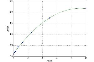Chemokine (C-C Motif) Receptor-Like 1 (CCRL1) ELISA Kit