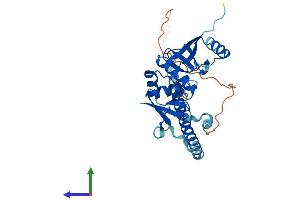 AlphaFold protein structure predicition of Mouse Recombinant Tsen34 Protein, UniprotID Q8BMZ5