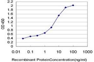 Detection limit for recombinant GST tagged HELZ is approximately 0. (HELZ anticorps  (AA 1-100))