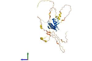 AlphaFold protein structure predicition of Mouse Recombinant Phlda1 Protein, UniprotID Q62392
