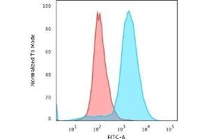 Flow Cytometric Analysis of paraformaldehyde-fixed Jurkat cells with Double Stranded DNA Mouse Monoclonal Antibody (121-3)followed by Goat anti-Mouse IgG-CF488 (Blue) Isotype Control (Red) (dsDNA anticorps)