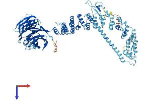 AlphaFold protein structure predicition of Human Recombinant VPS41 Protein, UniprotID P49754