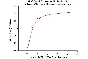 Immobilized SARS-CoV-2 S1 protein, His Tag (ABIN6992361) at 2 μg/mL (100 μL/well) can bind Human ACE2, Fc Tag (ABIN6952459,ABIN6952465) with a linear range of 0.