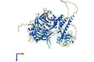 AlphaFold protein structure predicition of Mouse Recombinant Gtf3c4 Protein, UniprotID Q8BMQ2
