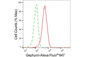 Flow cytometric analysis of Gephyrin expression in HAP-1 cells using Gephyrin antibody (ABIN7798714), 1:2,000). (Gephyrin anticorps)