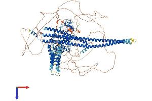 AlphaFold protein structure predicition of Human Recombinant ARHGAP29 Protein, UniprotID Q52LW3