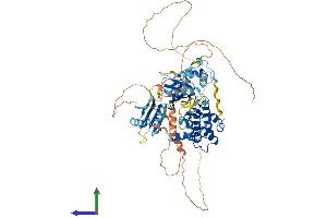 AlphaFold protein structure predicition of Human Recombinant BRSK2 Protein, UniprotID Q8IWQ3