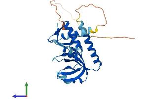 AlphaFold protein structure predicition of Human Recombinant RPA4 Protein, UniprotID Q13156