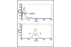 ARHGDIA Antibody (C-term) (ABIN389429 and ABIN2839511) flow cytometry analysis of HL-60 cells (bottom histogram) compared to a negative control cell (top histogram).