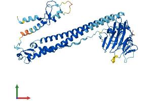AlphaFold protein structure predicition of Mouse Recombinant Trim68 Protein, UniprotID Q8K243