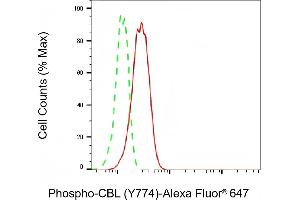 Flow cytometric analysis of Phospho-CBL (Y774) expression in HT- cells using Phospho-CBL (Y774) antibody (ABIN7797878), 1:2,000). (Recombinant CBL anticorps  (pTyr774))