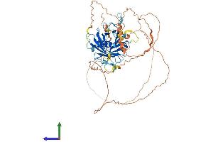 AlphaFold protein structure predicition of Mouse Recombinant Tulp1 Protein, UniprotID Q9Z273