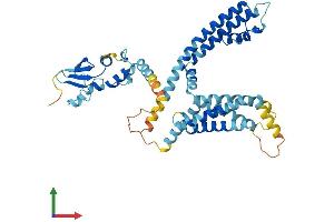 AlphaFold protein structure predicition of Human Recombinant KCNG3 Protein, UniprotID Q8TAE7
