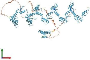 AlphaFold protein structure predicition of Human Recombinant ZNF184 Protein, UniprotID Q99676