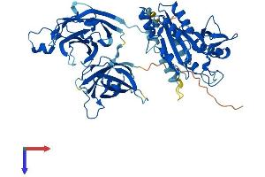 AlphaFold protein structure predicition of Human Recombinant CPNE8 Protein, UniprotID Q86YQ8