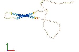 AlphaFold protein structure predicition of Mouse Recombinant Nrsn2 Protein, UniprotID Q5HZK2