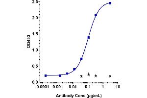 Immobilized human IL 22, Fc Tag at 2 μg/mL can bind Anti-IL-22 Reference Antibody (fezakinumab), EC50=0.