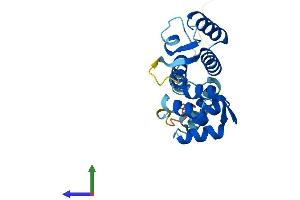 AlphaFold protein structure predicition of Human Recombinant ROPN1B Protein, UniprotID Q9BZX4