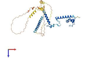 AlphaFold protein structure predicition of Mouse Recombinant Abra Protein, UniprotID Q8BUZ1