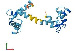 AlphaFold protein structure predicition of Mouse Recombinant Calml3 Protein, UniprotID Q9D6P8