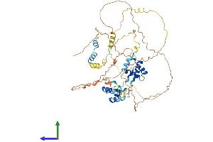 AlphaFold protein structure predicition of Human Recombinant MIER3 Protein, UniprotID Q7Z3K6
