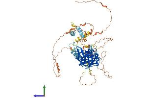 AlphaFold protein structure predicition of Mouse Recombinant Bmal2 Protein, UniprotID Q2VPD4