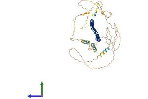 AlphaFold protein structure predicition of Mouse Recombinant Snph Protein, UniprotID Q80U23