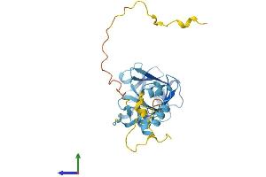 AlphaFold protein structure predicition of Human Recombinant FRG1 Protein, UniprotID Q14331