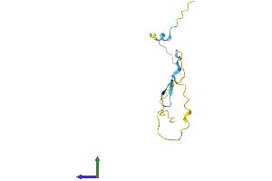 AlphaFold protein structure predicition of Mouse Recombinant Prr15 Protein, UniprotID Q9D1T5