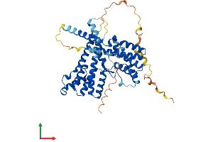 AlphaFold protein structure predicition of Human Recombinant P3H4 Protein, UniprotID Q92791 (P3H4 (AA 1-437) protein (His tag))