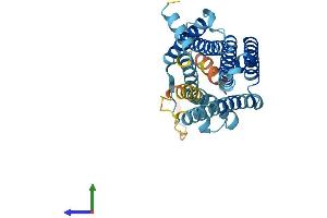 AlphaFold protein structure predicition of Human Recombinant MC1R Protein, UniprotID Q01726