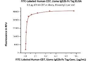 Immobilized Anti-CD7 antibody, Mouse IgG1 at 1 μg/mL (100 μL/well) can bind Fed Human CD7, Llama IgG2b Fc Tag (ABIN6973017) with a linear range of 0. (CD7 Protein (CD7) (AA 26-180) (lFc Tag,FITC))