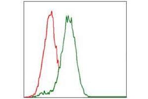 Flow cytometric analysis of HepG2 cells using CYP3A4 mouse mAb (green) and negative control (red).