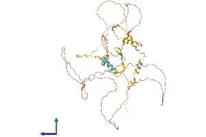 AlphaFold protein structure predicition of Human Recombinant CCDC8 Protein, UniprotID Q9H0W5
