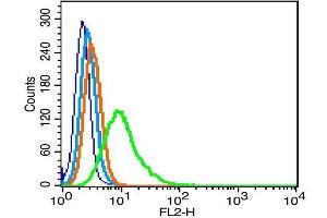 Rat RSC96 cells probed with CREB1 (Ser133) Polyclonal Antibody, Unconjugated  (green) at 1:100 for 30 minutes followed by a PE conjugated secondary antibody compared to unstained cells (blue), secondary only (light blue), and isotype control (orange). (CREB1 anticorps  (pSer133))