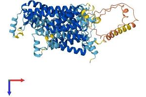 AlphaFold protein structure predicition of Mouse Recombinant Slc7a2 Protein, UniprotID P18581