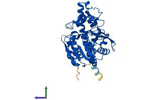 AlphaFold protein structure predicition of Human Recombinant EPHX4 Protein, UniprotID Q8IUS5