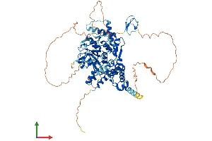 AlphaFold protein structure predicition of Human Recombinant ZRANB1 Protein, UniprotID Q9UGI0