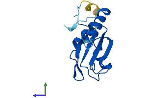 AlphaFold protein structure predicition of Human Recombinant SF3B6 Protein, UniprotID Q9Y3B4