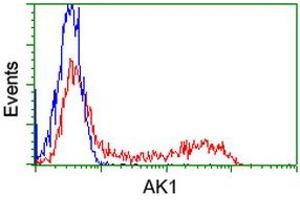 Flow Cytometry (FACS) image for anti-Adenylate Kinase 1 (AK1) antibody (ABIN1496514) (Adenylate Kinase 1 anticorps)