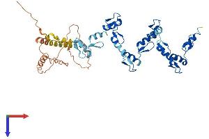 AlphaFold protein structure predicition of Human Recombinant ZNF154 Protein, UniprotID Q13106