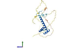 AlphaFold protein structure predicition of Mouse Recombinant Msx2 Protein, UniprotID Q03358