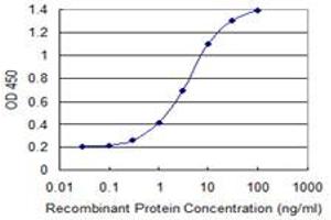 Detection limit for recombinant GST tagged PCDH8 is 0. (Protocadherin 8 anticorps  (AA 32-120))