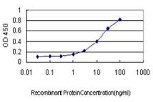 anti-SH2 Domain Containing 3C (SH2D3C) (AA 1-110) antibody