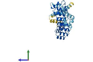 AlphaFold protein structure predicition of Human Recombinant ASB5 Protein, UniprotID Q8WWX0