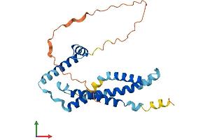 AlphaFold protein structure predicition of Human Recombinant TMEM65 Protein, UniprotID Q6PI78