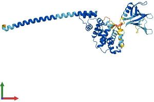 AlphaFold protein structure predicition of Mouse Recombinant Cyth4 Protein, UniprotID Q80YW0